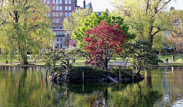 201-Public Garden